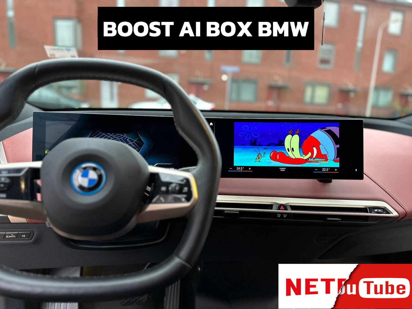 UpgradeYourBimmer™ AI Box